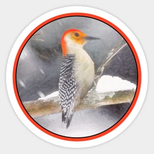 Red-Bellied Woodpecker Sticker